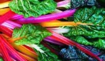 How to Grow Swiss Chard in Pots or Containers