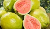 How to Grow Guava in Pots