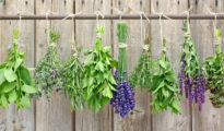How to Dry Herbs the Right Way