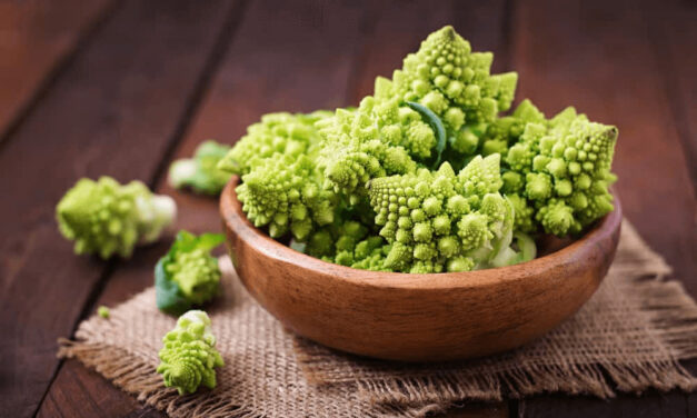 The Ultimate Guide to Romanesco Broccoli: From Seed to Plate
