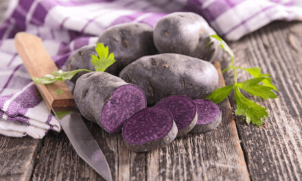 A Comprehensive Guide on How to Grow Russian Blue Potatoes